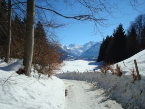 Wanderweg nach Reichenbach