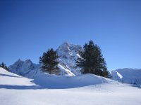 Wintertraum