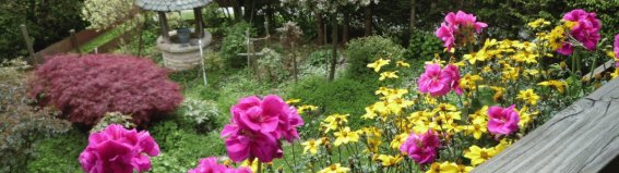 Garten im Mai