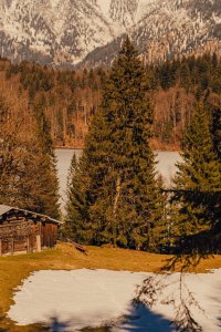 Die Hütte steht in einem Wald. Im Hintergrund sind Berge und ein schneebedeckter See zu sehen.