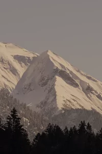Die Berge sind mit Schnee bedeckt. Im Vordergrund stehen Bäume. Es ist Tag und der Himmel ist grau.