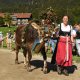 Viehscheid in Blaichach - Gunzesried im Oberallgäu