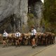 Viehscheid - Alpabtrieb in Obermaiselstein im Allgäu