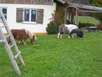 Tony und riane