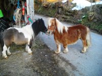 Rianne 027