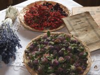 Lavendel Vogelbeeren und Süßklee