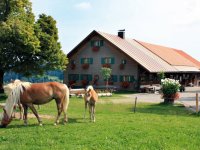 Alpe1