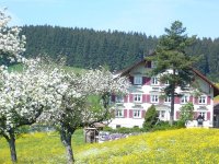 Fruehlingsbluete