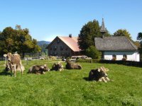 Alpe