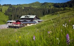 Berghütte Grasgehren im Wandergebiet Skigebiet am Riedbergpass