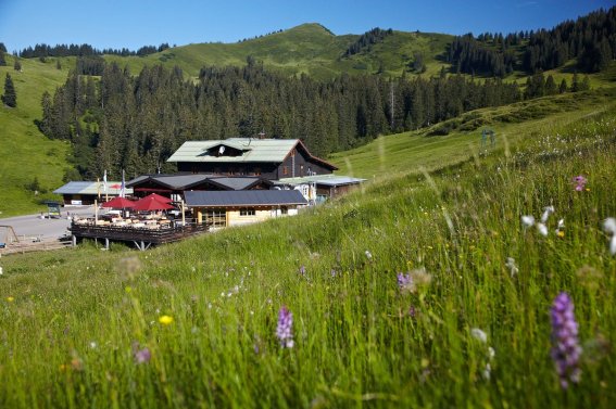 Berghütte Grasgehren im Wandergebiet Skigebiet am Riedbergpass