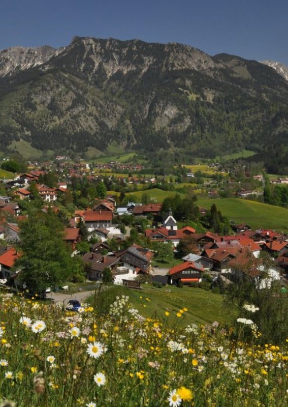 Das Dorf liegt in den Bergen und ist von Blumen und Wiesen umgeben. Es ist tagsüber und sonnig.