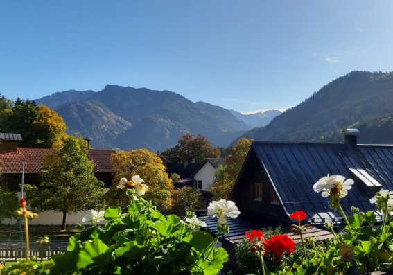Blick auf die Berge mit Blumen im Vordergrund Die Sonne scheint auf die Berge. Blumen und Häuser sind im Vordergrund sichtbar. Es ist ein klarer Tag in den Bergen.