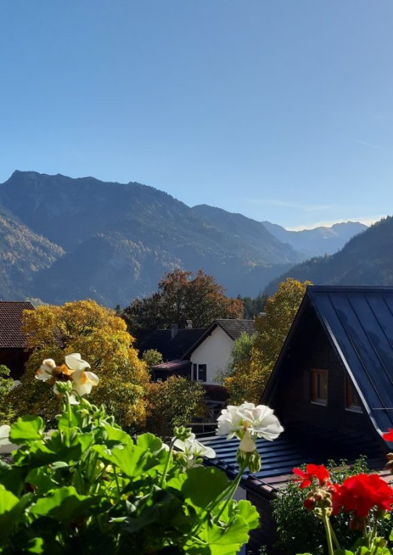 Die Sonne scheint auf die Berge. Blumen und Häuser sind im Vordergrund sichtbar. Es ist ein klarer Tag in den Bergen.