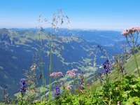 Blick vom Einödberg Richtung Birgsau