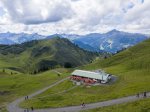 Adlerhorst im Sommer