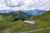 Adlerhorst im Sommer