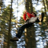 Flying Fox Park