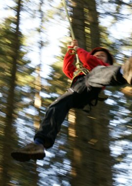 Flying Fox Park