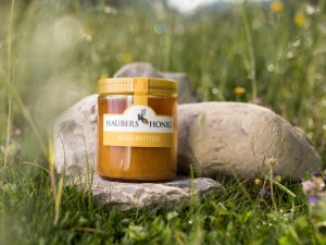 Haubers Naturresort Honig steht auf einem Stein in einer Wiese in Oberstaufen.
