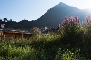 Blick aufs Burgberger Hörnle von den Alpzitt Chalets im Dorf.