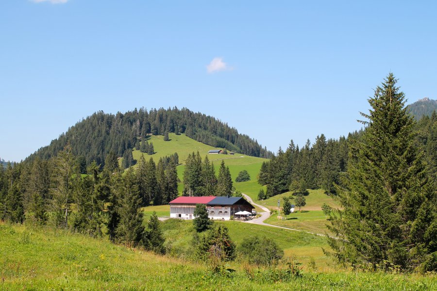 panoramahotel-oberjoch-Alpe-Untere-Schwande-Kaese-002