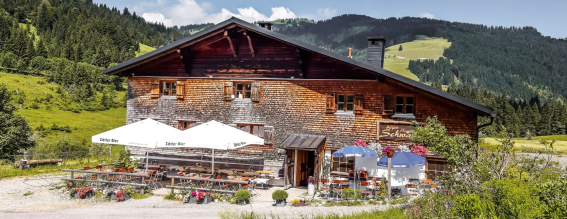 panoramahotel-oberjoch-Alpe-Untere-Schwande-Kaese-001