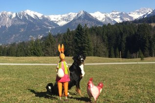 Alpe Dornach Hunde