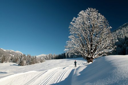 Torgheles Wald und Fluh Umgebung Winter