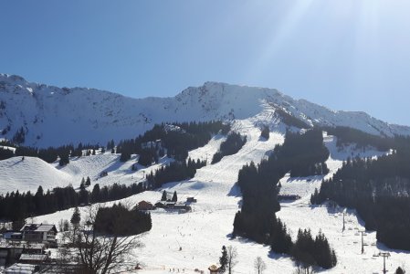 Hotel Alpengasthof Loewen Ski