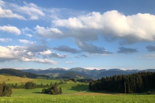 Ausblick auf saftige grüne Wiesen und Wälder in der Umgebung des Hotel Allgäu Sonne in Oberstaufen