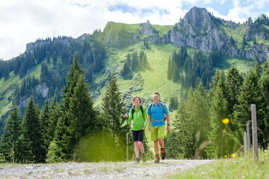 Bio-Berghotel Ifenblick Wandern Sommer