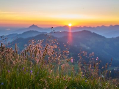 Parkhotel Burgmuehle Fischen Ausblick Sommer