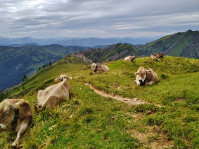 Kur Sporthotel Bayerischer Hof Freizeitaktivität Wandern