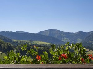 Ausblick vom Balkon des Kur und Sporthotel Bayerischer Hof in Oberstaufen auf die grünen Wiesen und Berge