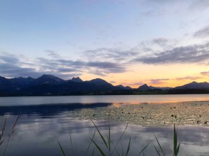 Der Ausblick vom Biohotel Eggensberger in Füssen/ Hopfen am See auf den See und Berge im Sommer.