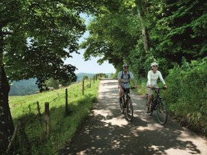 In der Umgebung des Hotels Bannwaldsee in Halblech gibt es zahlreiche Radtouren.