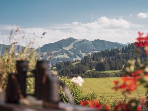 Panoramablick aus dem Wellnesshotel Mittelburg in Oy-Mittelberg.