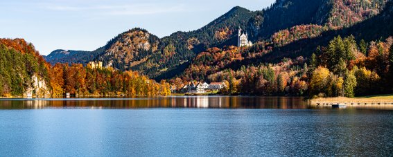AMERON Neuschwanstein Alpsee Herbst