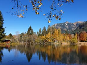 Ein See in der Umgebung des Freiberg Romantik Hotels in Oberstdorf umgeben von einem Herbstwald und Bergpanorama.