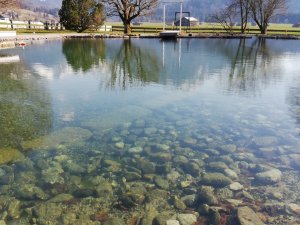 Eindruck vom Naturteich mit Bergpanorama im Frühjahr im Schüle's  Gesundheitsresort und SPA in Oberstdorf