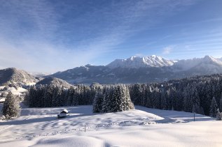 Alpe Dornach Ausblick Winter