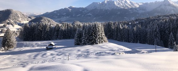 Alpe Dornach Ausblick Winter