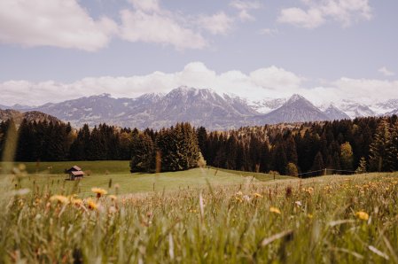 Alpe Dornach Ausblick Sommer