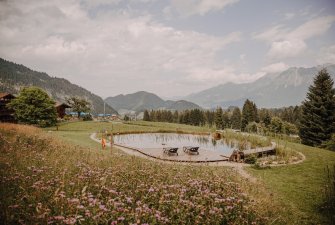 Alpe Dornach Naturbadesee