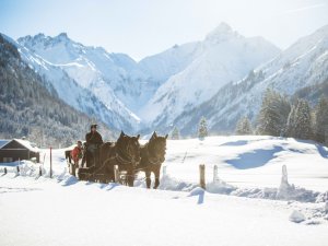 Gäste machen eine Pferdeschlittenfahrt durch die verschneite Winterlandschaft vor Bergpanorama im Schüle's Gesundheitsresort und SPA in Oberstdorf