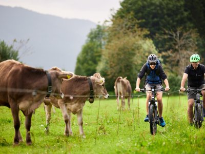 Hanusel Hof Radfahren Freizeitaktivität