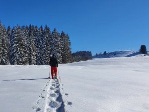 Eine Person bei einer Schneeschuhwanderung in der Umgebung rund um den Hanusel Hof in Weitnau