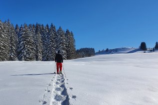 Hanusel Hof Schneeschuhwanderung