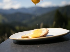 Ansprechend angerichtete Speise im Haubers Naturresort in Oberstaufen.